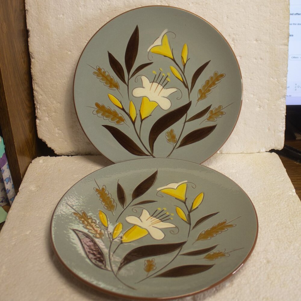 Vintage Stangl Pottery Golden Harvest 10 Inch Dinner Plates Set of Two